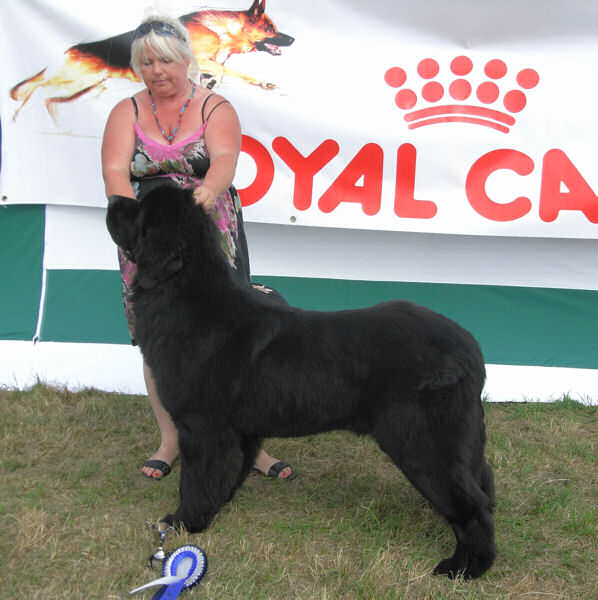 2010 Fun Day Companion Show winner