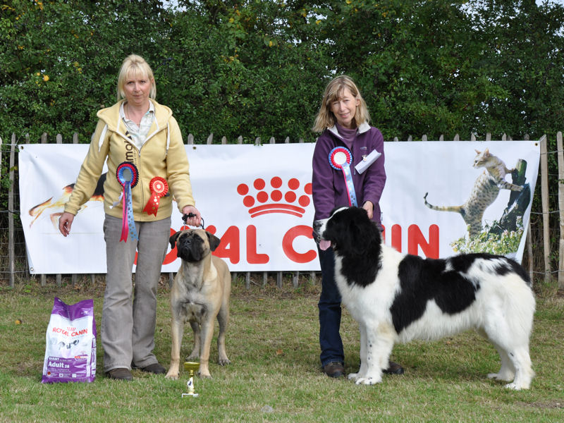 Best Puppy in Show and Reserve Best Puppy in Show