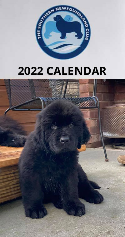 2022 SNC Calendar covers