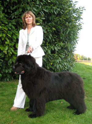 Honeybears Funny Girl