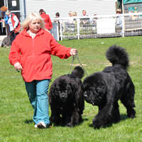 SNC Health Co-ordinator, Jan Groves