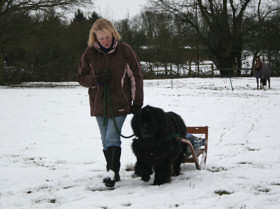 Sue Dobson
