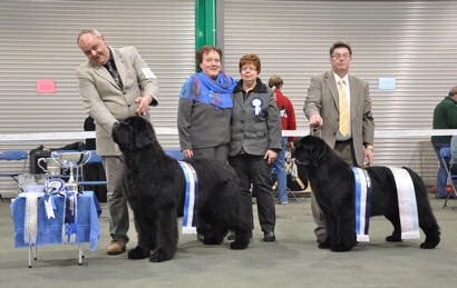 2009 SNC Open Show Winners