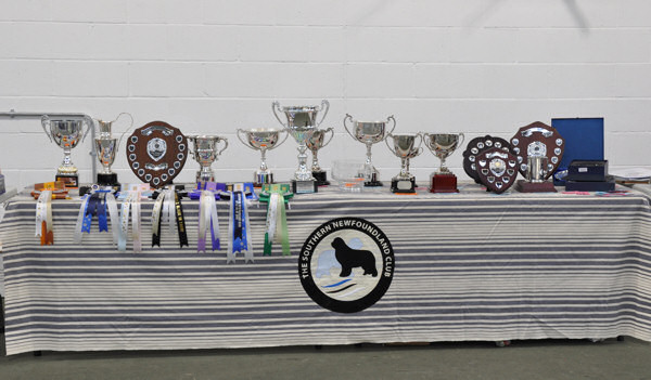 Club Trophies