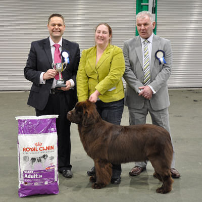 Best Puppy in Show winner