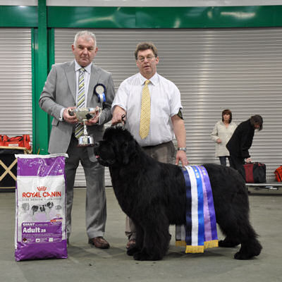 Best in Show Winner