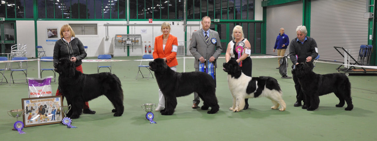 2013 Open Show winner line up