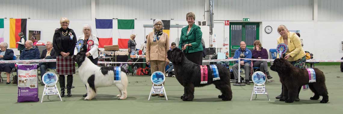 Best In Show winners