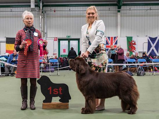 Winner of Junior Handling [12 - 16 Years]