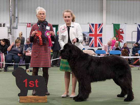 Winner of Junior Handling [6 - 11 Years]