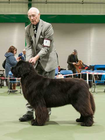 Best in Show