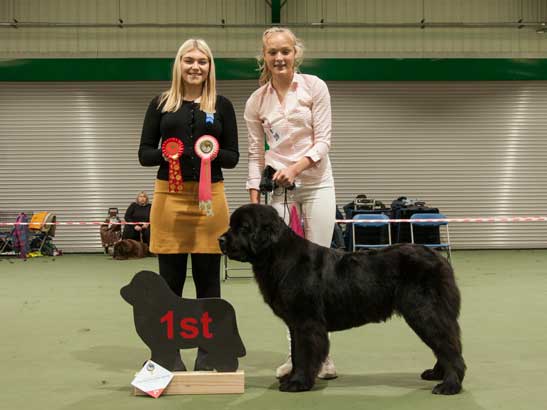 Winner of Junior Handler 12-16