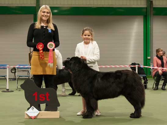 Winner of Junior Handler 6-11