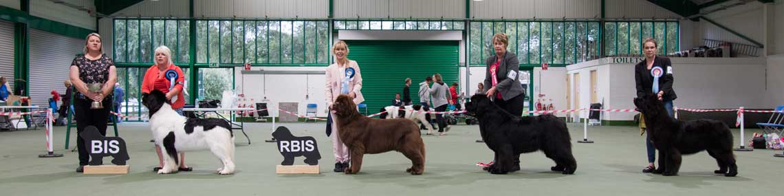 Best In Show winners with show judge Samantha Deary