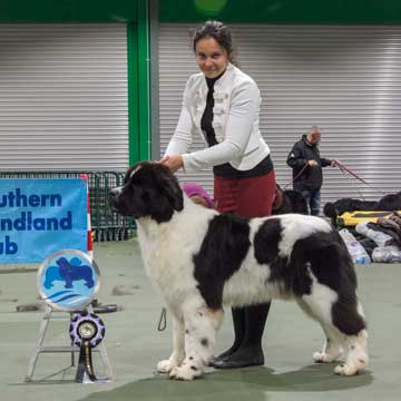 Best White & Black in Show