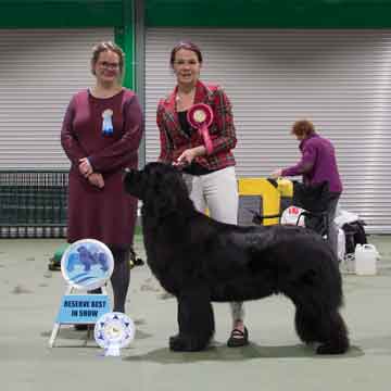 Reserve Best in Show