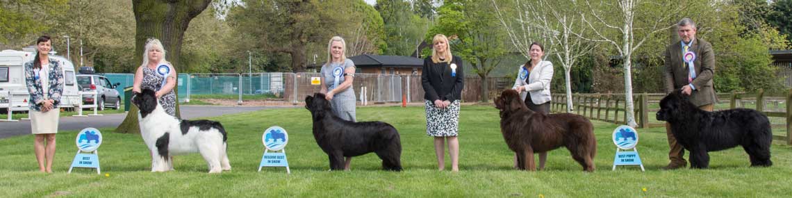 Best In Show winners with show judges