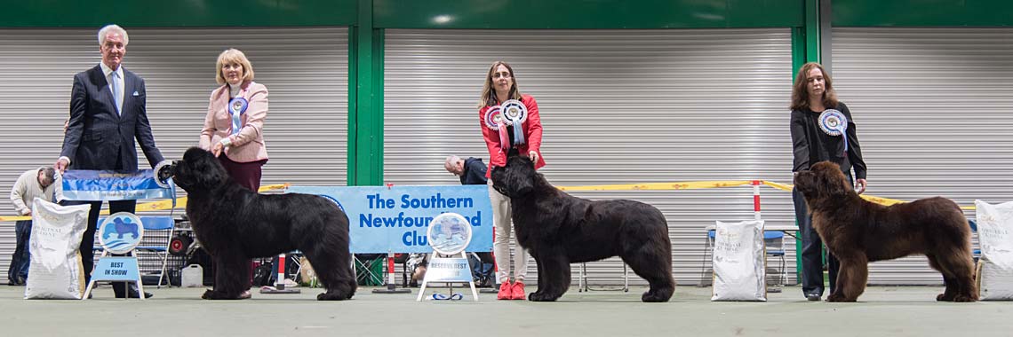 Best In Show winners with show judge Mr. Stuart Mallard