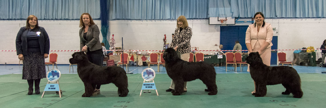 Best In Show winners with show judge