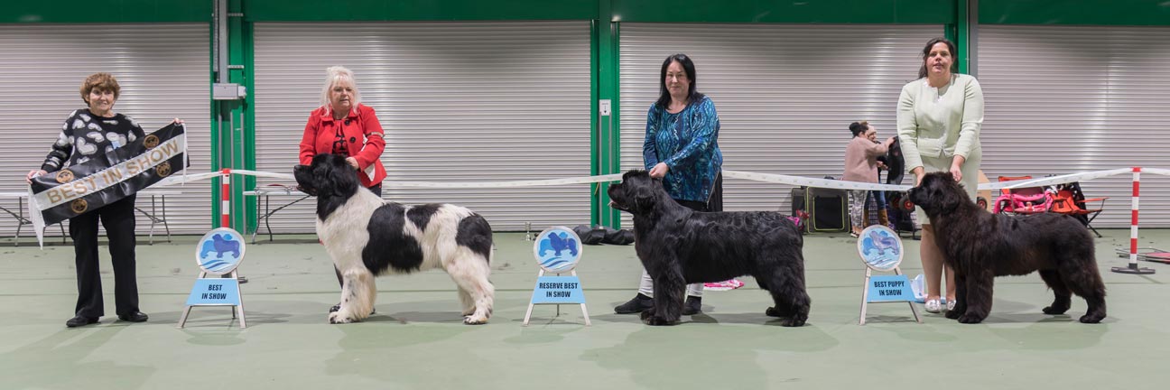 Best In Show winners