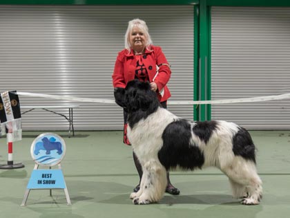 Best in Show