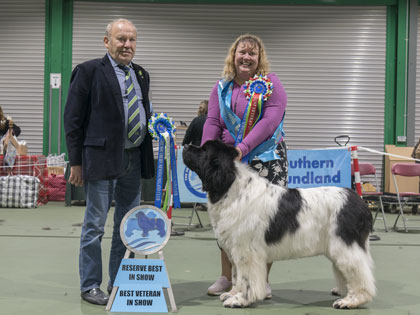 Reserve Best in Show