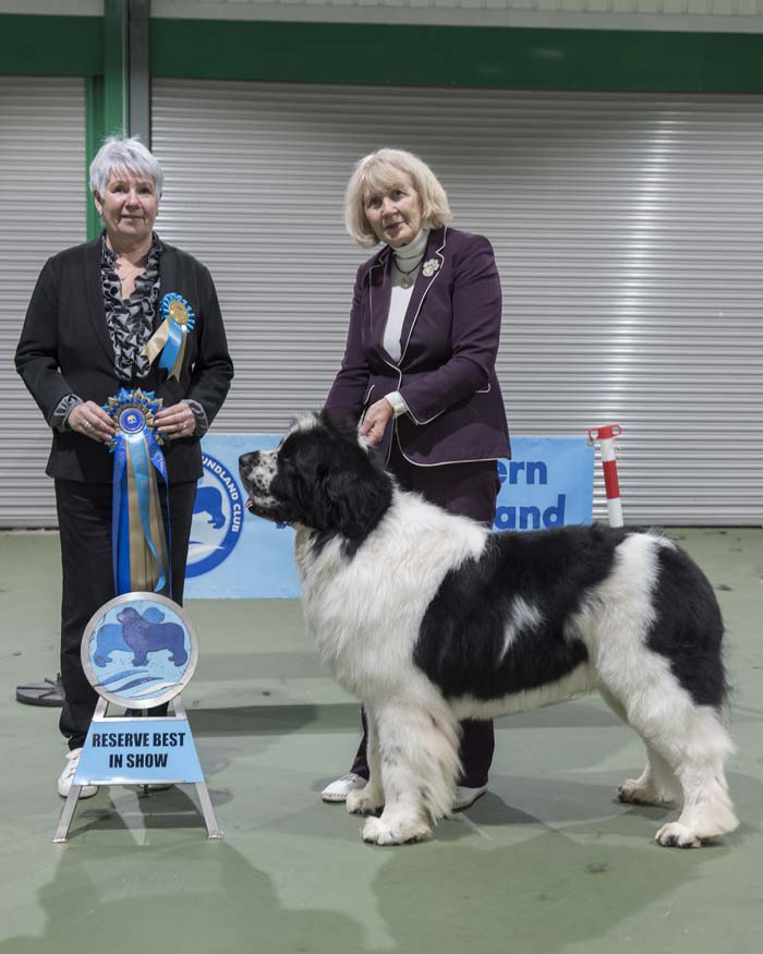 Reserve Best in Show