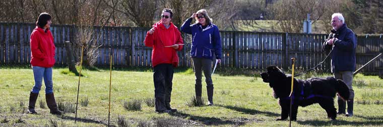 Draught Tests in progress