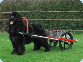 Draught with two-wheeled cart