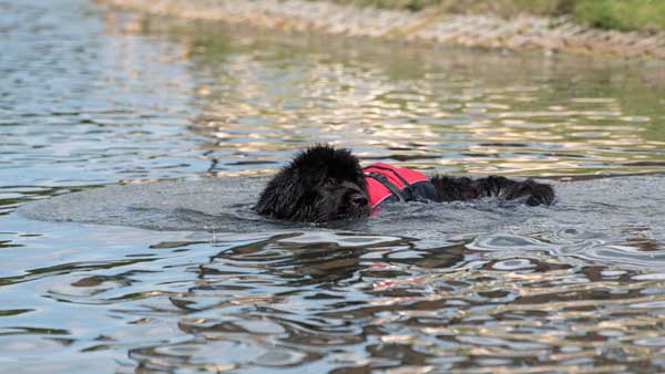 Enjoying the water in a Section B test