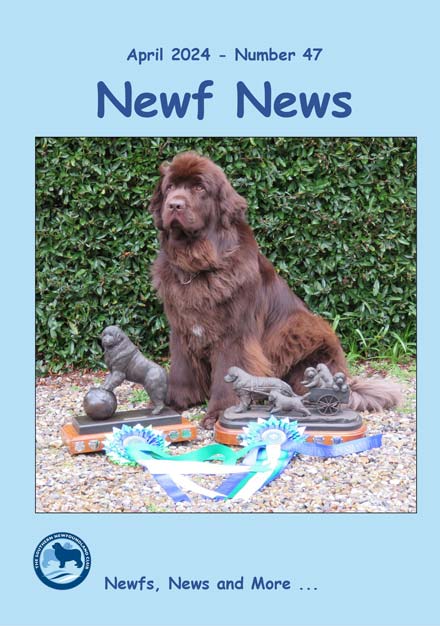 Newf News magazine cover