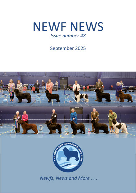 Newf News magazine cover