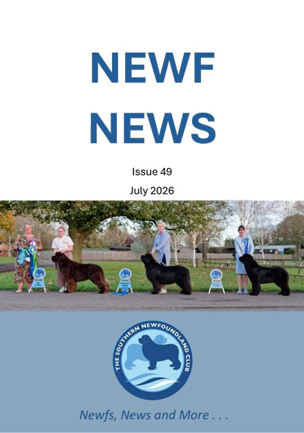Newf News magazine cover