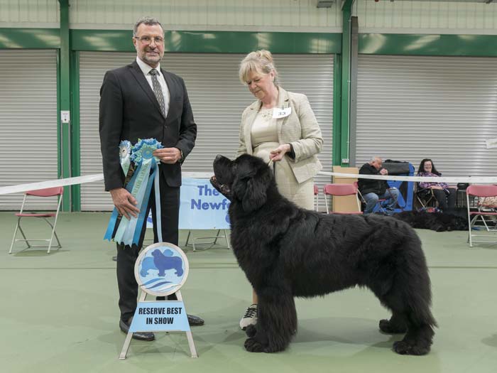 Reserve Best in Show