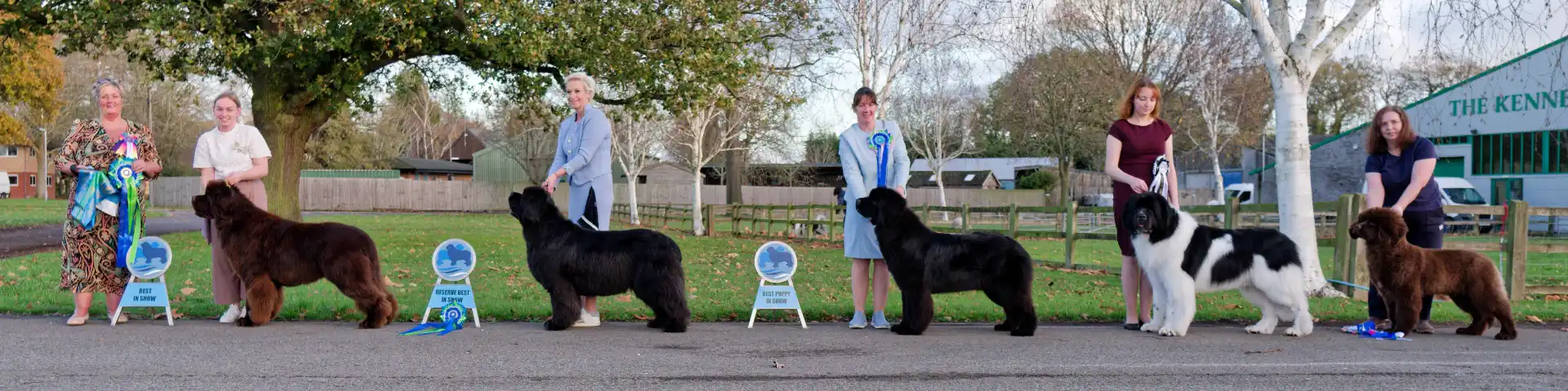 November 2025 Championship Show Best In Show winners with show judge
