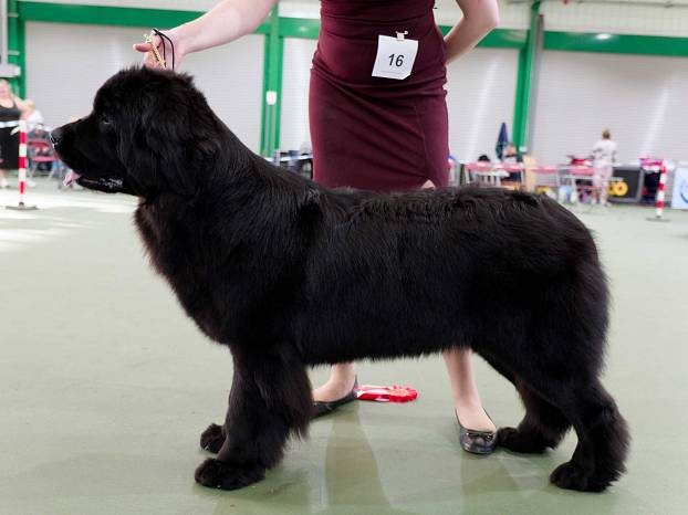 Winner of Graduate Bitch