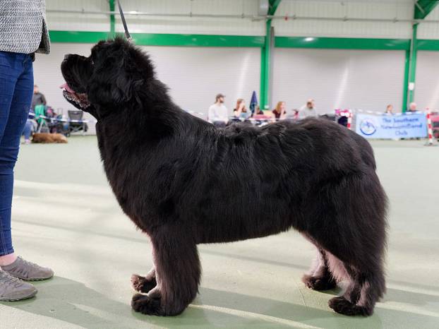 Winner of Open Bitch