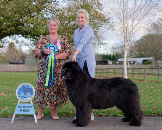 Reserve Best in Show