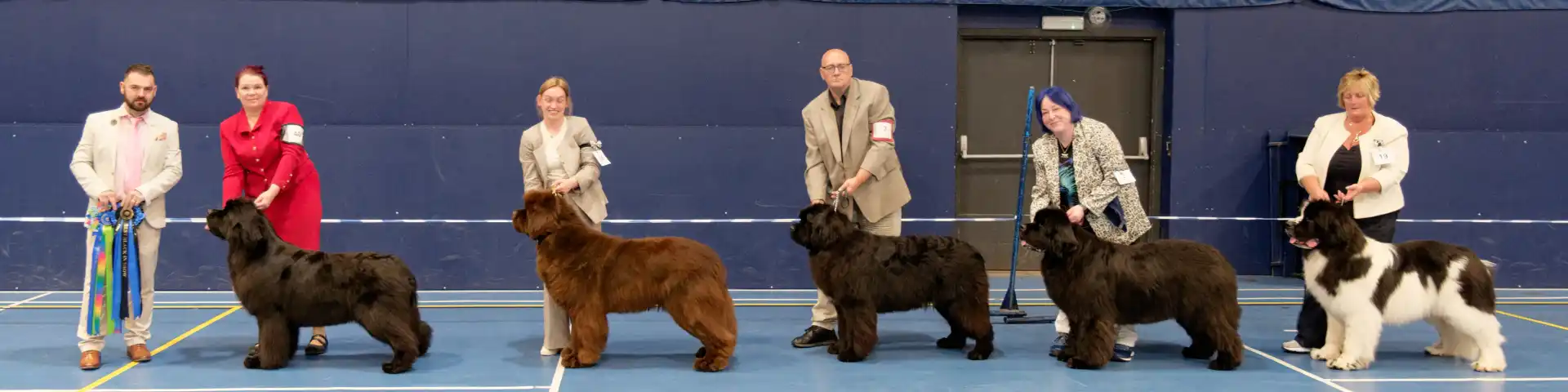 2026 Open Show Best In Show winners with show judge