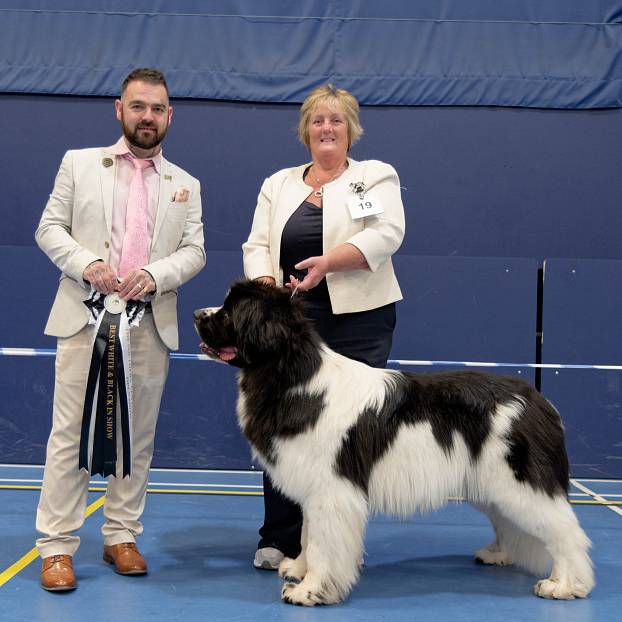 Best White & Black in Show