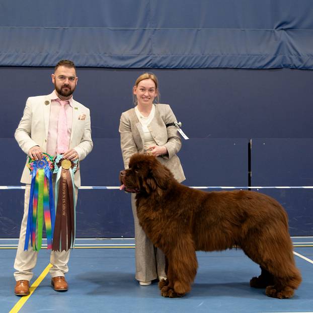Reserve Best in Show